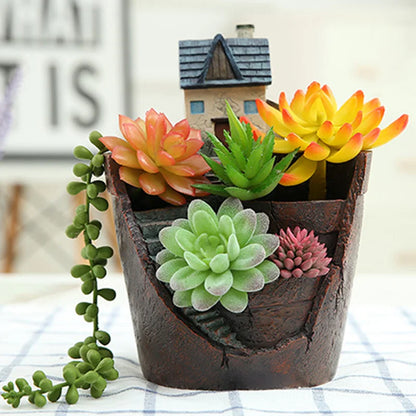 Mini Cartoon Flowerpot | Jscapes Home and Garden  