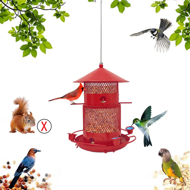 Metal Wild Bird Feeder