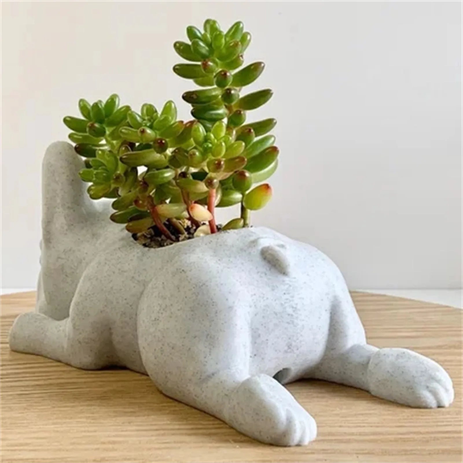 Bulldog Resin Planter | Jscapes Home and Garden | Planters