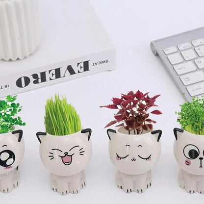 Cute Cat Succulent Plant Pots | Jscapes Home and Garden