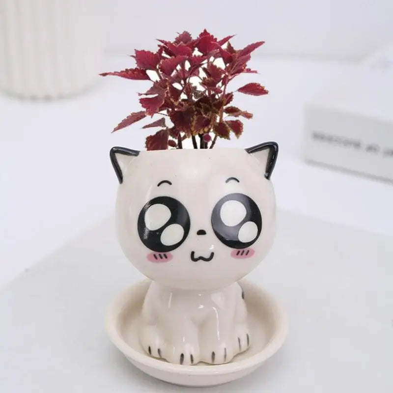 Cute Cat Succulent Plant Pots | Jscapes Home and Garden