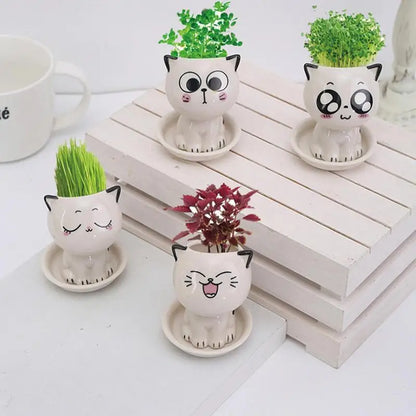 Cute Cat Succulent Plant Pots | Jscapes Home and Garden